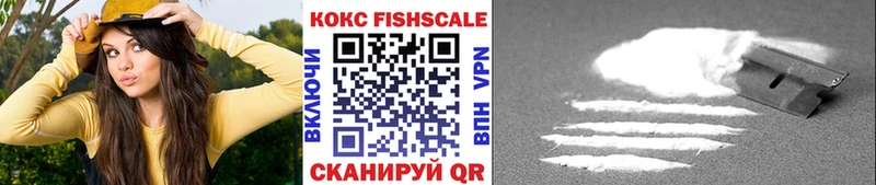 Cocaine Fish Scale  Купить где  Нижняя Тура 