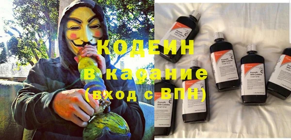 PSILOCYBIN Вяземский