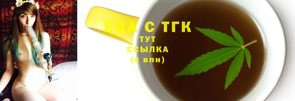 индика Горно-Алтайск