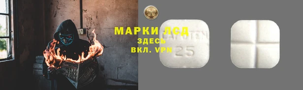 ПСИЛОЦИБИНОВЫЕ ГРИБЫ Горняк