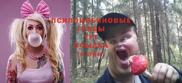 хмурый Вязьма