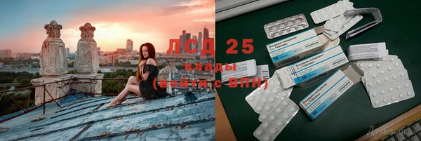 PSILOCYBIN Вяземский